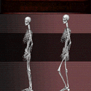 Funny Skeletons