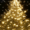 Illuminated Trees