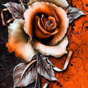 Orange Roses