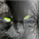 Green Eyed Cat 03