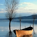 Desolate Cockleboat