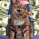 Dollar And Cats