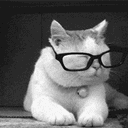 Read Cats