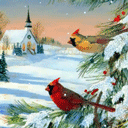 Χιόνι και πολύχρωμα πουλιά