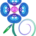 Blue Pink Flower