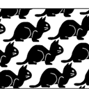 Black Cats And Pigeons