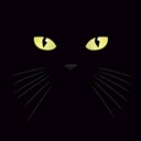 Silly Black Cat 01