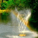 Water Image