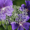 Nature And Islamic Write