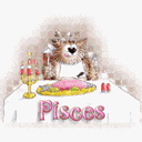 Pisces Cat
