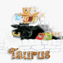 Taurus Cat