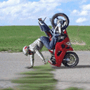 Motorcycle Show
