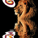 Galatasaray And Lion