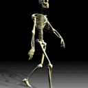 Walking Skeleton New