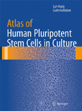 waptrick.com Atlas of Human Pluripotent Stem Cells in Culture