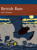 waptrick.com British Bats