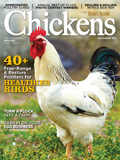 waptrick.com Chickens July August 2017