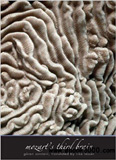 waptrick.com Mozarts Third Brain