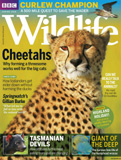 waptrick.com BBC Wildlife May 2018