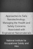 waptrick.com Approaches To Safe Nanotechnology