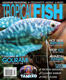 waptrick.com Tropical Fish Hobbyist February 2014