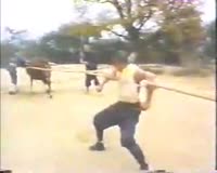 waptrick.com Shaolin Super Humans