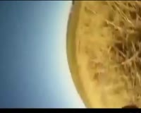 waptrick.one Bexti getirmeyenler