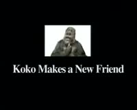 Koko the Gorilla with Robin Williams
