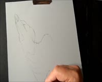 waptrick.one Drawing a 3D Wolf - Trompeloeil