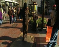 waptrick.one San Francisco City Guide