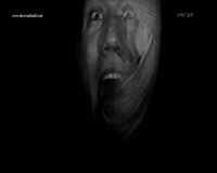 waptrick.com Museum of Illusions 2016