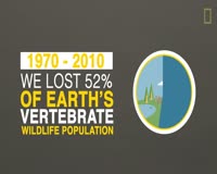 waptrick.one TIL - We Have Lost 50 of Wildlife Since 1970