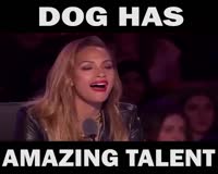 waptrick.one This dog has amazing talent - must watch