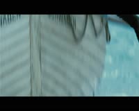 waptrick.com Wonder Woman Official Trailer 2 2017