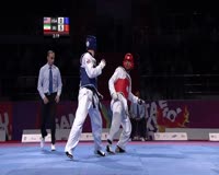waptrick.one Taekwondo Kyorugi Mens Final