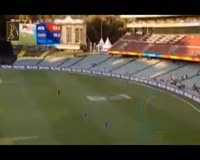 waptrick.com ASSIST CATCHES - TOP 10 Impossible Assists Catches on Boundary Line