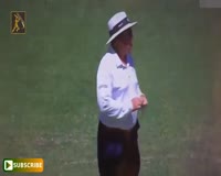 waptrick.com UMPIRE INJURIES - TOP 10 Umpires Hit by Ball in Cricket