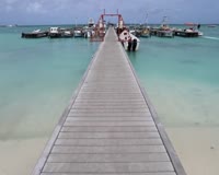 waptrick.com The Island of ARUBA Travel