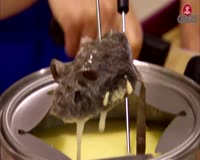 waptrick.one Dead Mouse Found in the Cheese Fondu