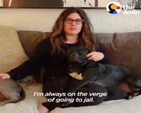 waptrick.one Pit Bull Dog Teaches Mom Everything She Needed To Know About Love