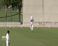waptrick.one Mitch Marsh crafts marathon 162 in tour game