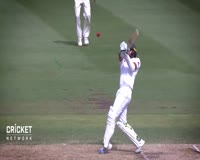 waptrick.com Starc Siddle identify key Pakistan Test bat
