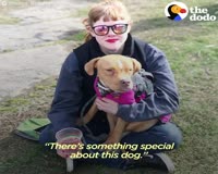 waptrick.one Little Pittie With Rare Disease Finds The Best Family