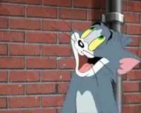 waptrick.com Tom and Jerry - Cat of Prey