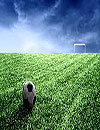 waptrick.one Football Wp