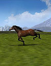 waptrick.one Horse