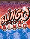 Bingo 2009