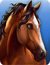 waptrick.one Horse Hotel Carefor Horses