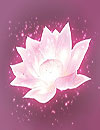 waptrick.com Lotus Digital