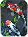 waptrick.one Water Garden Live Wallpaper